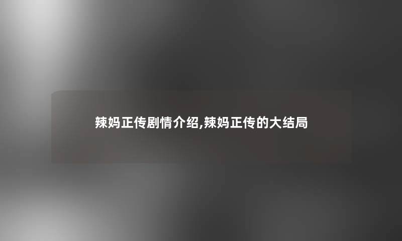 辣妈正传剧情介绍,辣妈正传的大结局