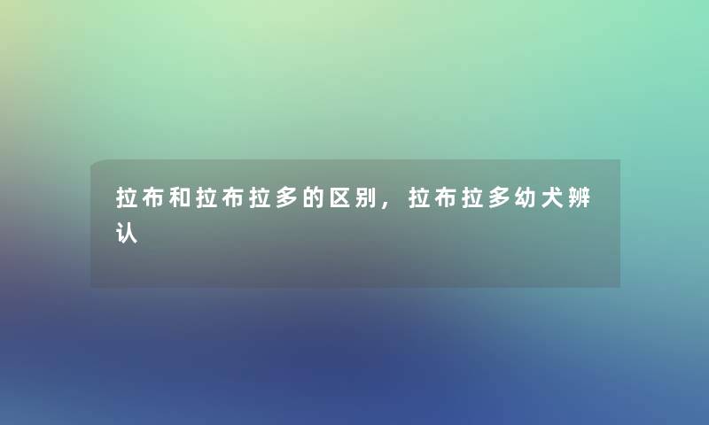 拉布和拉布拉多的区别,拉布拉多幼犬辨认