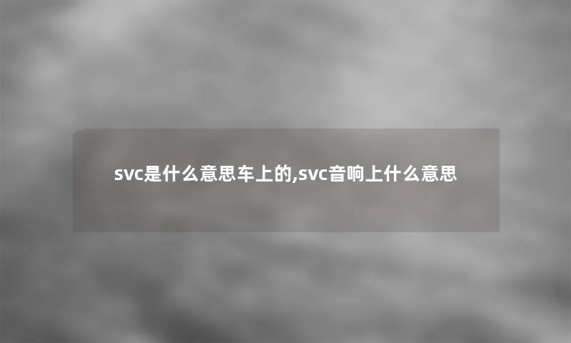 svc是什么意思车上的,svc音响上什么意思