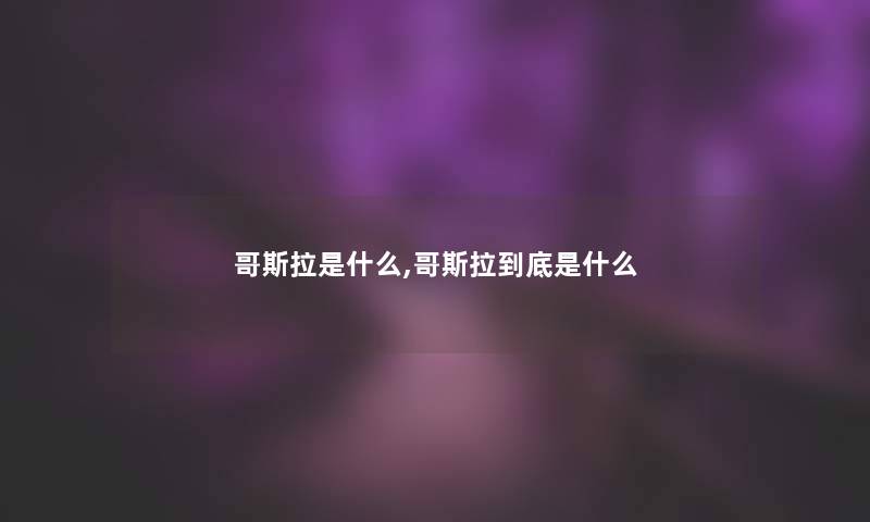 哥斯拉是什么,哥斯拉到底是什么