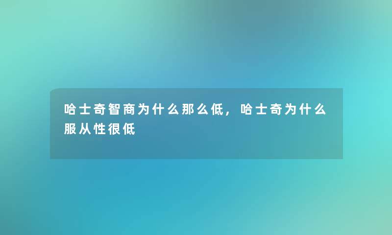 哈士奇智商为什么那么低,哈士奇为什么服从性很低