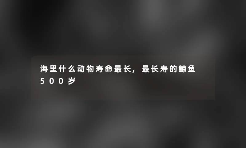 海里什么动物寿命长,长寿的鲸鱼 500岁