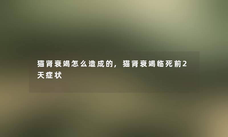 猫肾衰竭怎么造成的,猫肾衰竭临死前2天症状