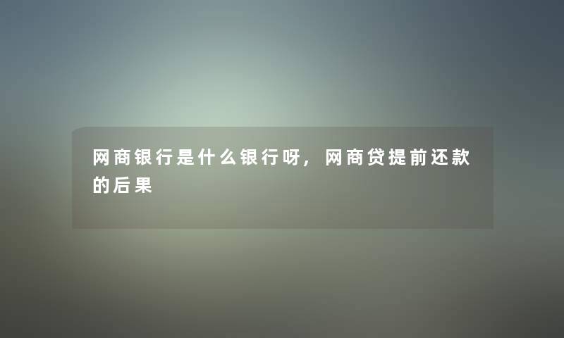 网商银行是什么银行呀,网商贷提前还款的后果