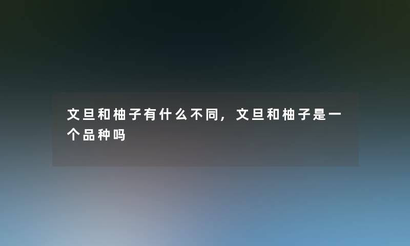 文旦和柚子有什么不同,文旦和柚子是一个品种吗