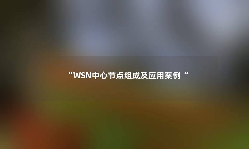 “WSN中心节点组成及应用事“