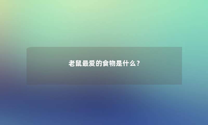 老鼠爱的食物是什么？