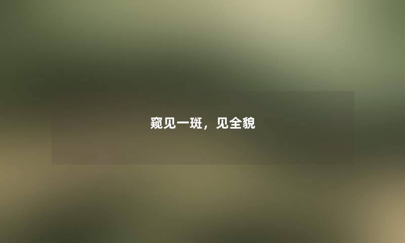 窥见一斑，见全貌