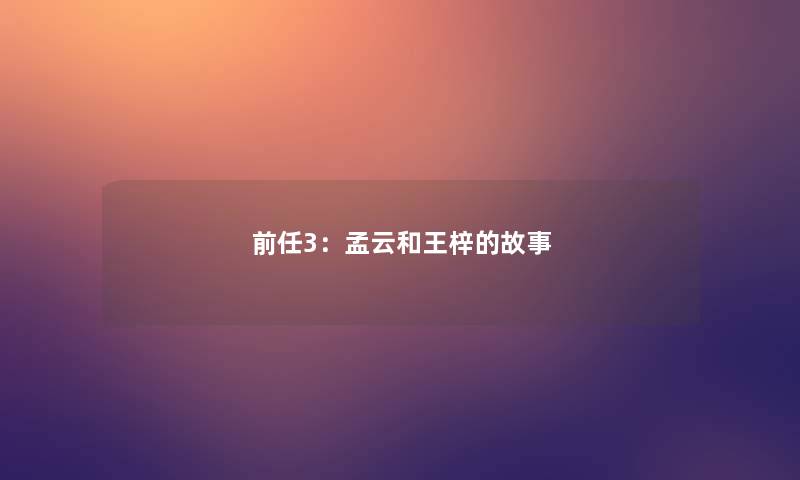 前任3：孟云和王梓的故事