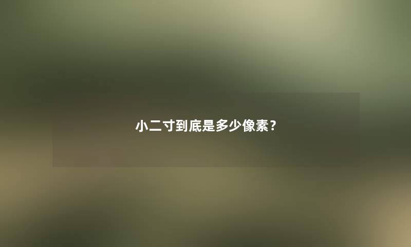 小二寸到底是多少像素？