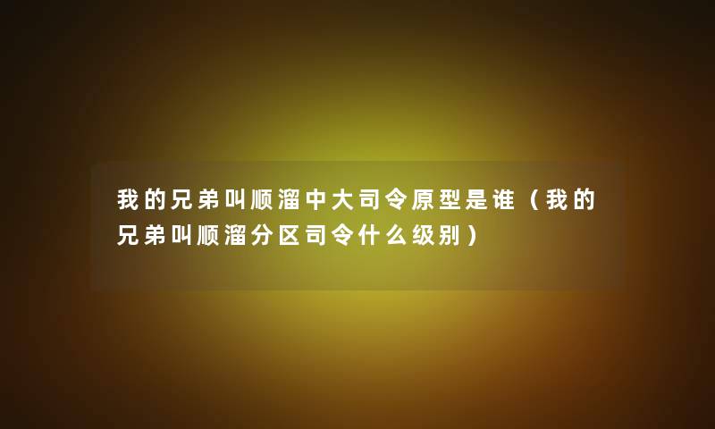 我的兄弟叫顺溜中大司令原型是谁（我的兄弟叫顺溜分区司令什么级别）