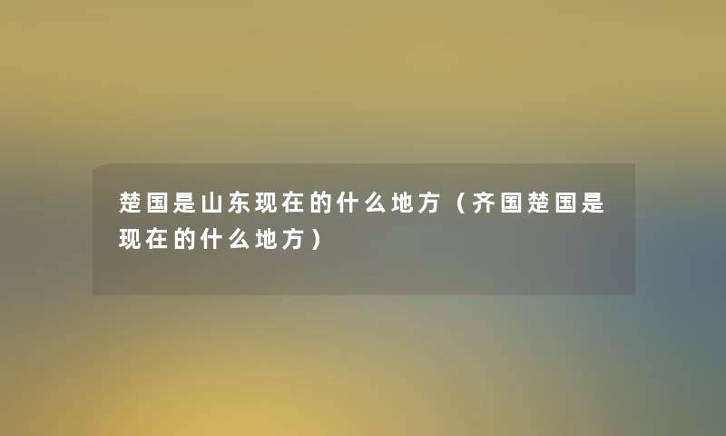 楚国是山东的什么地方（齐国楚国是的什么地方）