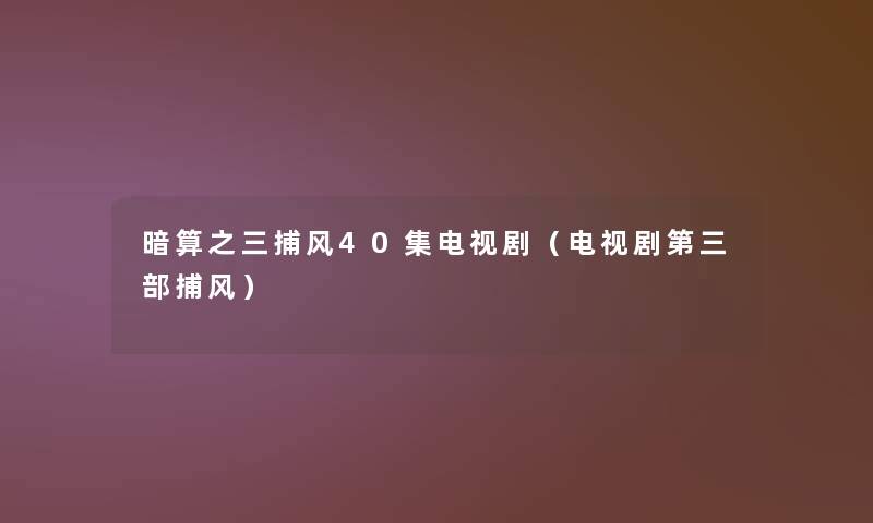 暗算之三捕风40集电视剧（电视剧第三部捕风）