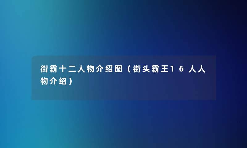 街霸十二人物介绍图（街头霸王16人人物介绍）