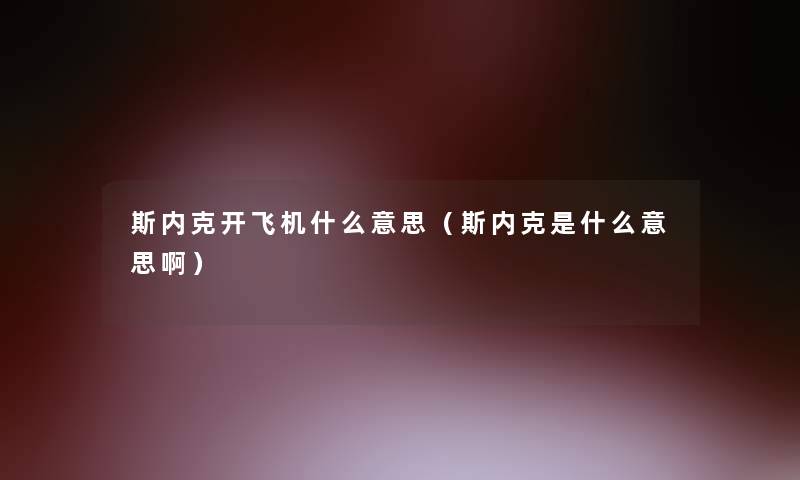 斯内克开飞机什么意思（斯内克是什么意思啊）