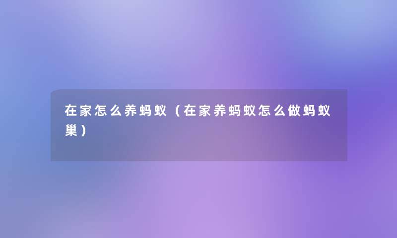 在家怎么养蚂蚁（在家养蚂蚁怎么做蚂蚁巢）