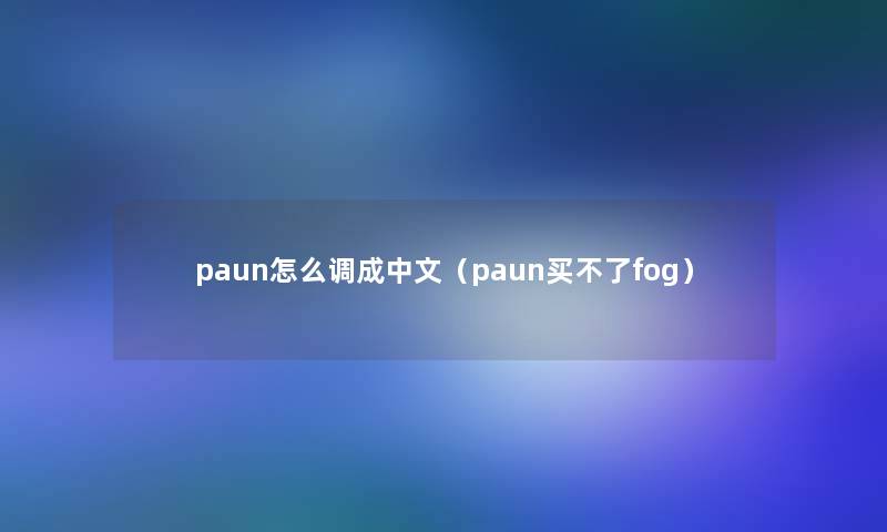 paun怎么调成中文（paun买不了fog）