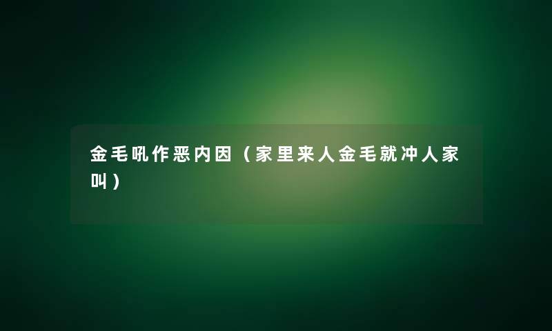 金毛吼作恶内因（家里来人金毛就冲人家叫）