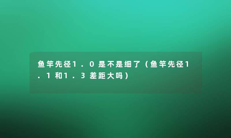 鱼竿先径1.0是不是细了（鱼竿先径1.1和1.3差距大吗）