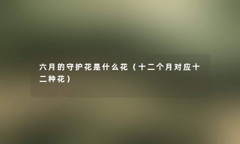 六月的守护花是什么花（十二个月对应十二种花）