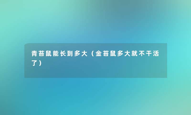 青苔鼠能长到多大（金苔鼠多大就不干活了）