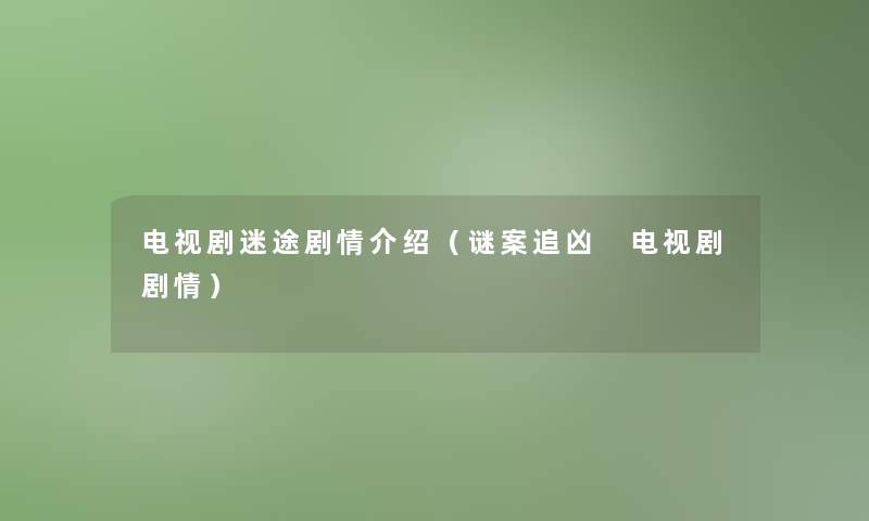 电视剧迷途剧情介绍（谜案追凶 电视剧剧情）