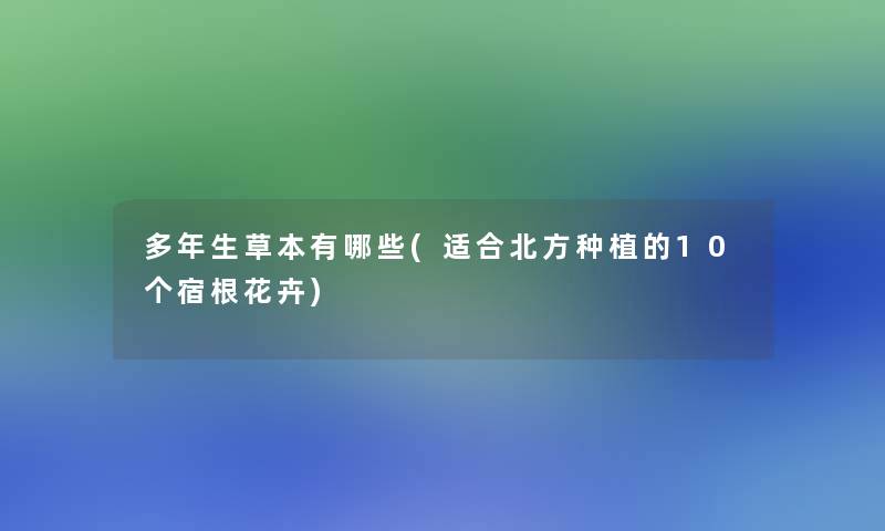 多年生草本有哪些(适合北方种植的10个宿根花卉)